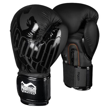 Боксерські рукавички Phantom Germany Eagle для MMA та Муай-Тай, чорні, 10 oz