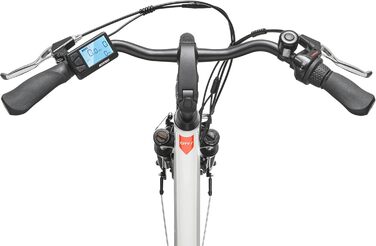 Електровелосипед TELEFUNKEN RC835 для міста, 28 дюймів, 250 Вт, 468 Вт·год, 3-швидкісна втулка, для жінок і чоловіків, до 100 км, з допуском до дороги