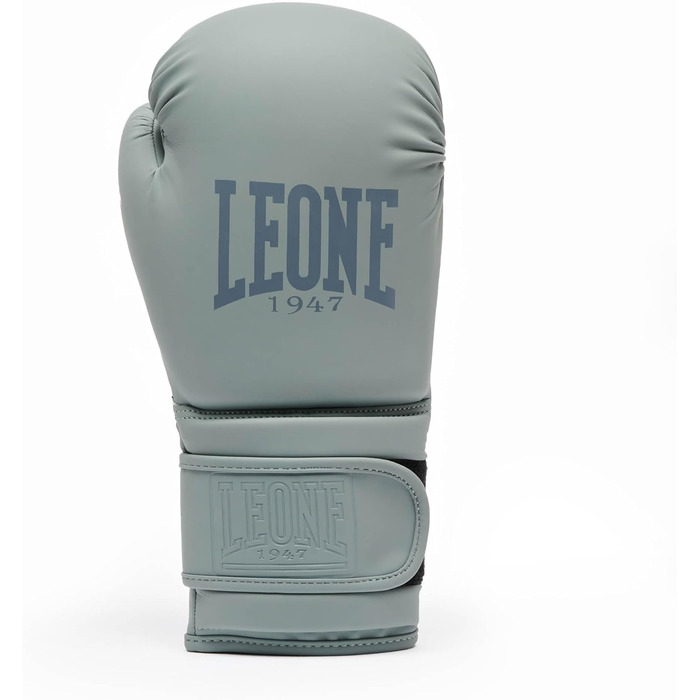 Боксерські рукавиці Leone 1947 LIGHT GREY 14 oz унісекс