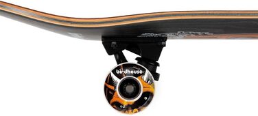 Скейтборд Birdhouse Stufe 3, повний комплект для трюків