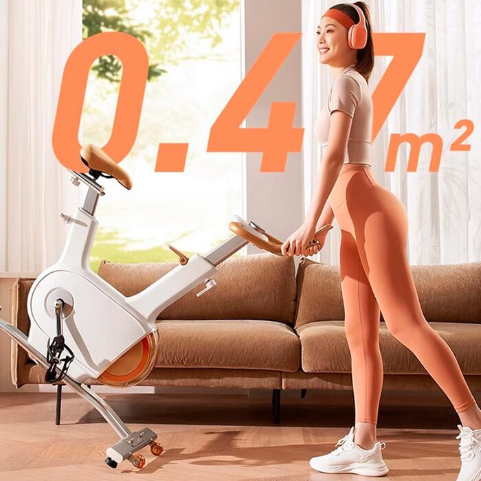 Sophy W1 - велотренажер для дому з подвійним маховиком, 10 кг, тихий, для занять спортом