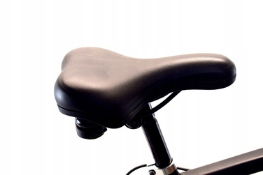 Гірський велосипед Rower MTB Dallas, 29 дюймів, рама 21