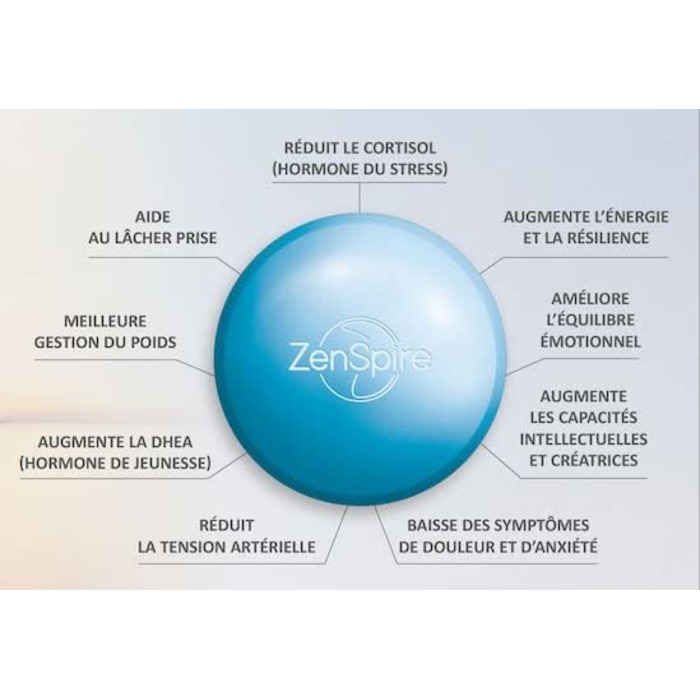 Набір для акупунктури Zen-Paket: біомат Climsom Zen + дихальний тренажер Zenspire V2 Coach для серцевої когерентності
