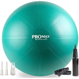 Фітбол SmarterLife PRO MAX 55 см: фітнес, йога, пілатес, фізіотерапія, вагітність, тренування балансу, турнічок