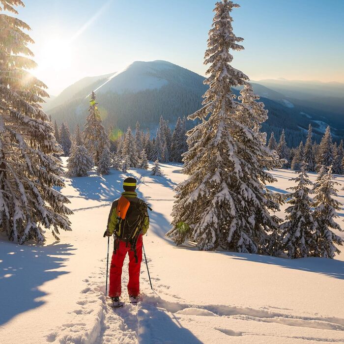 Снігоступи Alpidex з палицями 25 або 29 дюймів, швидка фіксація, підійдуть для розміру ноги 38-46, вага до 140 кг, з підйомником, сумкою, телескопічні палиці, лайм