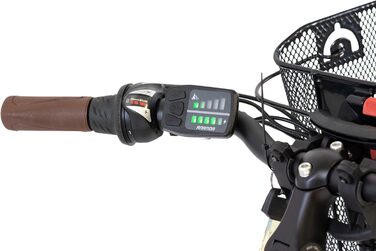 Електровелосипед F.lli Schiano E-Ride 28'' для дорослих, трекінговий, комфорт, акумулятор до 25 км/год, з кошиком і захистом ланцюга, чорний