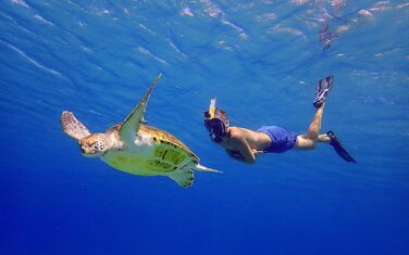 Маска для снорклінгу OCEAN REEF Aria QR + Мундштук - Повнолицева маска для підводного плавання 180° (Medium/Large, Чорна)