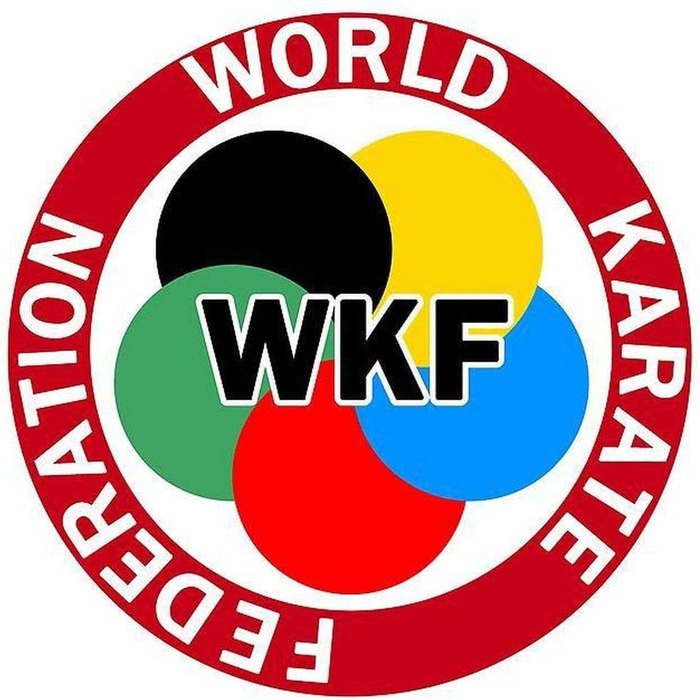 Захист гомілки та стопи Wacoku для карате, WKF, для жінок і чоловіків