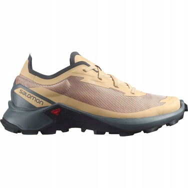 Жіночі кросівки для трейлу та трекінгу SALOMON MetaCross Super WMNS