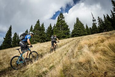 Гірський велосипед SPRINT Hunter 29 дюймів, 21 швидкість, для чоловіків, жінок і підлітків, зріст 170-183 см