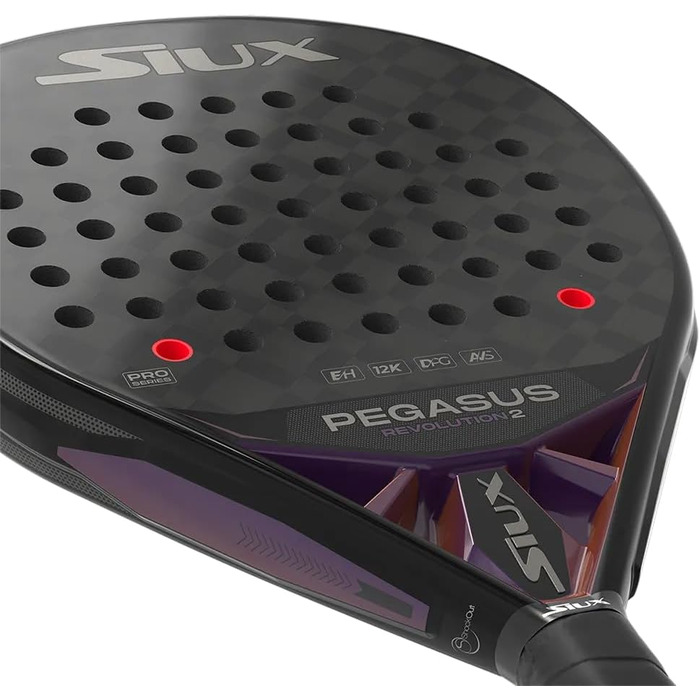 Ракетка для пінг-понгу Siux Pegasus Revolution 2
