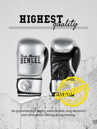 Боксерські рукавички BENLEE Carlos з екошкіри, 06 oz, срібно-чорні