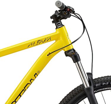 Гірський велосипед Eastern Bikes Alpaka 29