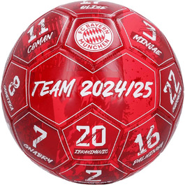 Футбольний м’яч FC Bayern München Signature 2024/25 з автографами, розмір 5