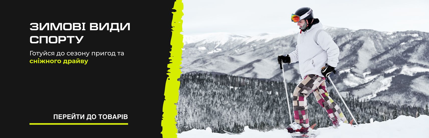 Зимові види спорту