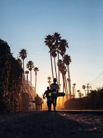 Лонгборд LandYachtz Drop Hammer 36,5