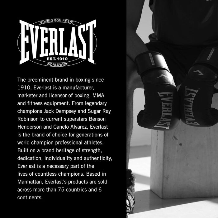 Боксерські рукавички Everlast Prostyle 2 14 oz для тренувань