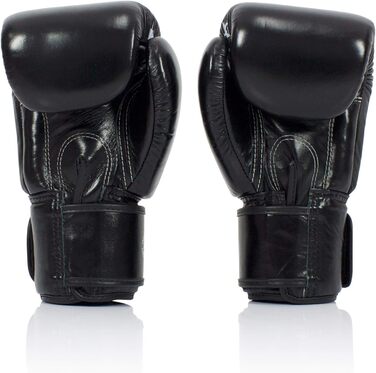 Боксерські рукавички Fairtex BGV5 для спарингу, професійні