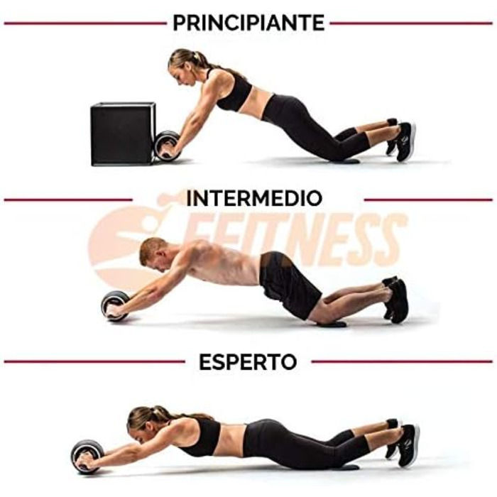 AB ролик FIT Fitness для преса та м'язів спини, нековзке велике колесо, тренажер для домашніх тренувань