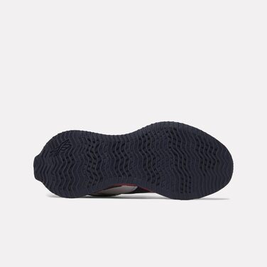 Кросівки Reebok Zig Dynamica 2.0 для дітей (36 EU, Moon Vectorred Vectornavy)