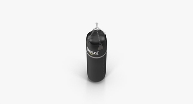 Шкіряний боксерський мішок EVERLAST 115 x 46 см, 55 кг
