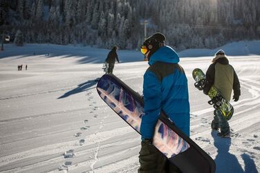 Сумка для сноуборда Ferocity Board Bag Snowboardbag [051]