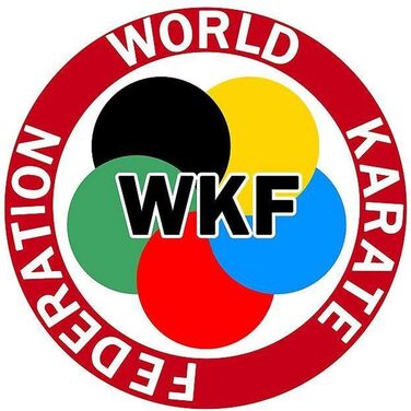 Захист гомілки та стопи Wacoku для карате, WKF, для жінок і чоловіків