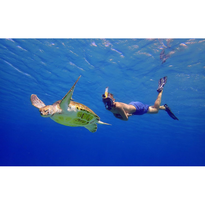 Маска для снорклінгу OCEAN REEF Aria QR + Мундштук - Повнолицева маска для підводного плавання 180° (Medium/Large, Чорна)