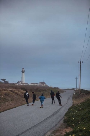 Лонгборд LandYachtz Dipper Surfing Skeleton 91 см