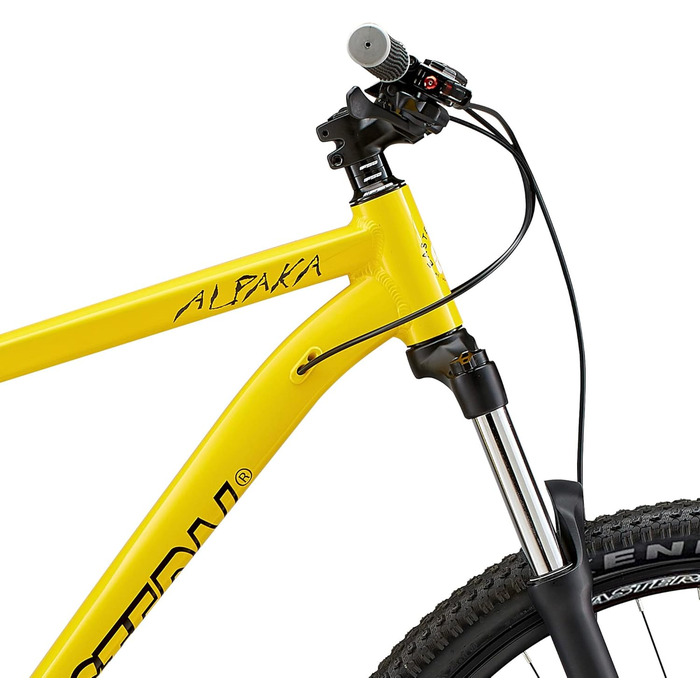 Гірський велосипед Eastern Bikes Alpaka 29