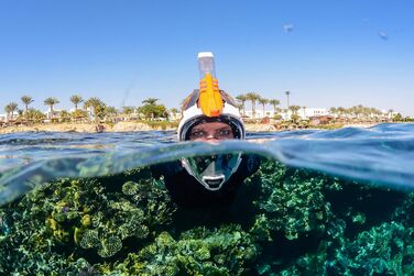 Повнолицьева маска для снорклінгу OCEAN REEF Aria QR з трубкою, біла (L/XL) - панорамний огляд 180°