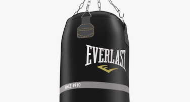 Шкіряний боксерський мішок EVERLAST 115 x 46 см, 55 кг
