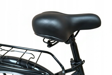 Міський велосипед Dallas Bike, чорний, 28 дюймів, сталевий, 1 швидкість