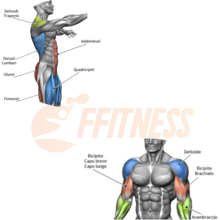 Мотузка для фітнесу FFITNESS Crossfit 9 м, 34 мм