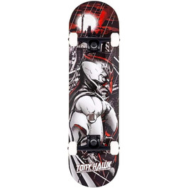 Скейтборд Tony Hawk SS 540 Industrial 8.0x31.5 повний комплект