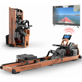Водний веслувальний тренажер JOROTO MR280PRO з дуба (Bluetooth, Kinomap, до 150 кг)