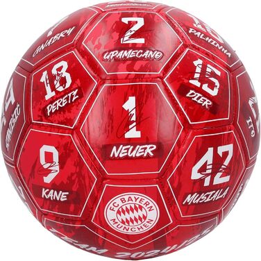 Футбольний м’яч FC Bayern München Signature 2024/25 з автографами, розмір 5