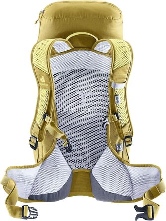 Жіночий туристичний рюкзак deuter AC Lite 22 SL (2024), Sprout-linden