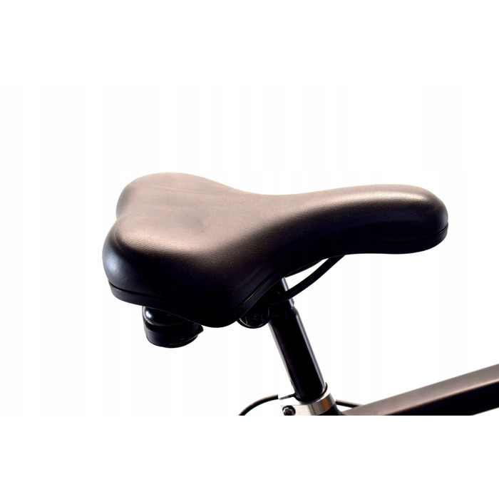 Гірський велосипед Rower MTB Dallas, 29 дюймів, рама 21
