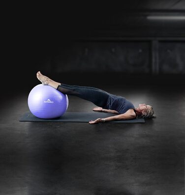 Фітбол Alphapace 75 см: для фітнесу, йоги, офісу, тренувань спини. В комплекті насос. Колір: Французька лаванда