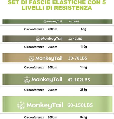 Набір гумових еспандерів MonkeyTail (5 рівнів опору) для фітнесу, йоги та силових тренувань + анкер для дверей + сумка для зберігання, унісекс, зелений