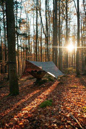 Гамак Amazonas Moskito Traveller Forest Ultra Light - надлегкий, нейлон Ripstop, 275x140 см, 500г